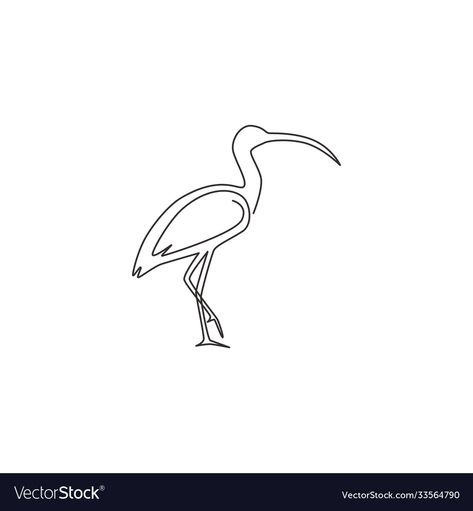 Ibis Bird Tattoo, Ibis Tattoo, Ibis Drawing, Drawing Elegant, Ibis Bird, Tattoos 2023, Logo Identity, Continuous Line Drawing, Stick And Poke