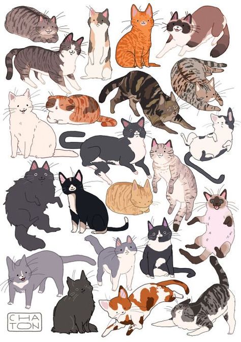 Animal Drawings Cat, Wallpapers Food, Tattoo Food, Food Recipes Dinner, Food Wallpapers, Quotes Food, Wallpaper Food, Healthy Aesthetic, Dinner Aesthetic