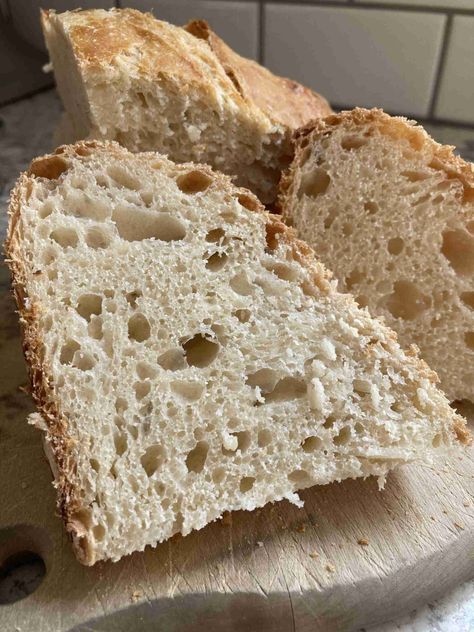 How to feed sourdough starter! This covers feeding and storing sourdough starter. Homemade Sandwich Bread, Making Sourdough Bread, Homemade Sandwich, Proofing Baskets, Dough Scraper, Basic Kitchen, Sourdough Bread Recipe, Food Covers, Sourdough Recipes