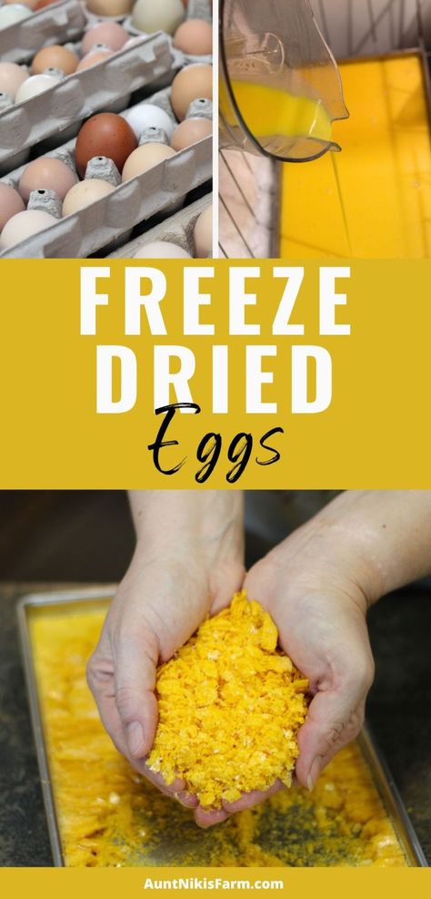 How to Freeze Dry Eggs - Aunt Niki's Farm Dehydrator Recipes Fruit, Harvest Right Freeze Dryer, Freezing Eggs, Gluten Free Egg Free, Canning Lids, Cracked Egg, Freeze Drying Food, Morning Smoothie, Dehydrated Food