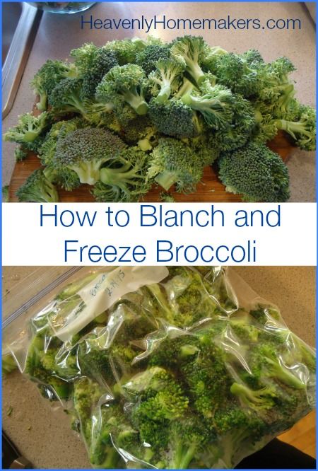 How To Freeze Broccoli, Freeze Broccoli, Freezing Food Guide, Freezing Vegetables, Canned Food Storage, Freezer Meal Prep, Frozen Broccoli, Winter Vegetables, Frozen Veggies