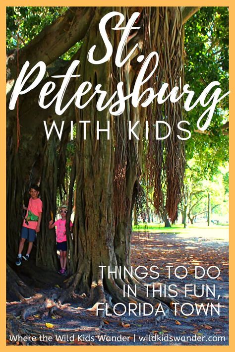 Florida With Kids, Kids Things To Do, Vacation Family, Florida Hotels, Things To Do With Kids, Tampa Bay Area, Family Weekend, St Petersburg Florida, Us Travel Destinations