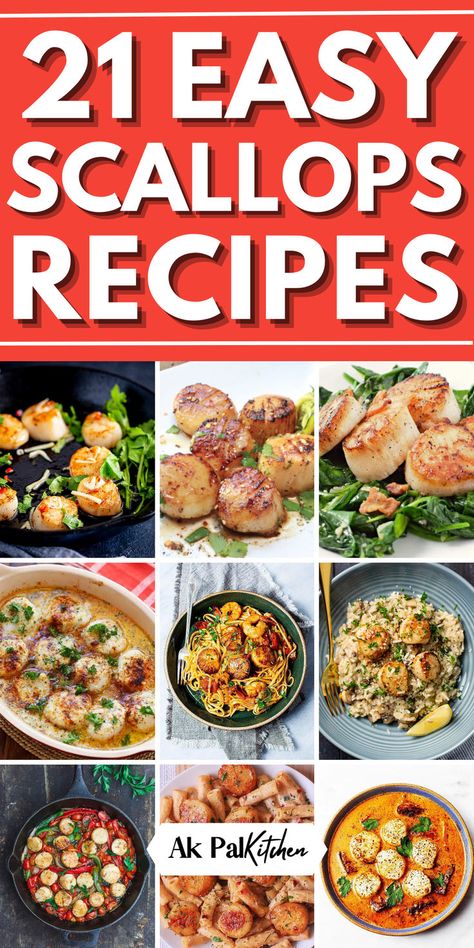 Dive into our scallops recipe list, perfect for seafood lovers! Discover quick easy scallop meals, including pan-seared scallops and garlic butter scallops for a rich flavor. Explore healthy scallops dinner ideas, pairing them with vegetables or light pasta. Try our grilled scallops ideas for a summer BBQ or indulge in a creamy scallops sauce for a gourmet touch. From spicy to lemon herb, our scallop dishes cater to all tastes. These low-carb and high-protein meals are great for healthy dinners. Healthy Seafood Meals, Healthy Scallops, Scallops Dinner Ideas, Creamy Scallops, Scallops Dinner, Garlic Butter Scallops, Easy Scallop Recipes, Butter Scallops, Scallops Recipe