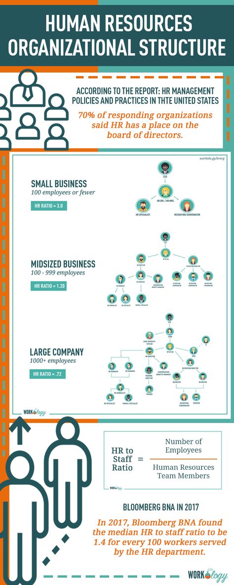 Business Organizational Structure, Hr Diagram, Hr Infographic, Human Resources Infographic, Human Resources Career, Hr Job, Organization Structure, Business Administration Degree, Organizational Design