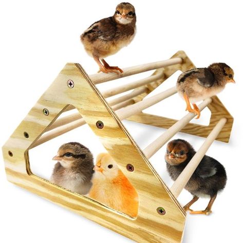 chicken-toys_Jungle Gym Wooden Jungle Gym, Chicken Toys For Coop, Chicken Perches, Chicken Brooder, Backyard Coop, Chicken Roost, Chicken Owner, Chicken Toys, Backyard Chicken Farming