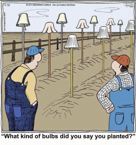 Found on Facebook. Garden Humor, Gardening Memes, Plant Quotes, Visual Puns, Gardening Humor, Cartoon Humor, Science Jokes, Friday Humor, Little Garden