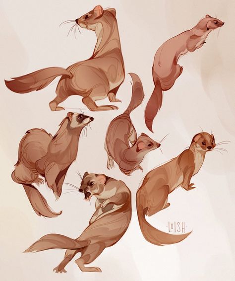 Tumblr Illustration, Animal Sketches, Arte Fantasy, Character Sketch, Illustration Character Design, Illustration Artists, Pics Art, Creature Design, Artist Painting