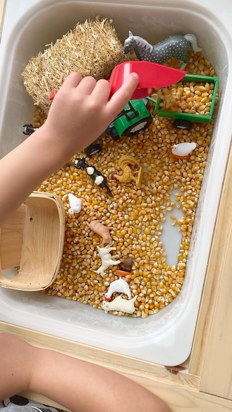 Crafts With Corn Kernels, Corn Activities, Cottage School, Weekly Tasks, Popcorn Kernels, Mario Birthday Party, Little Red Hen, Red Hen, Mario Birthday