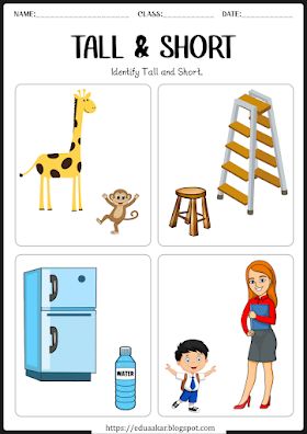 Tall and Short worksheets for kids | Pre-Math Concept Kindergarten Math Worksheets Addition, Nursery Worksheets, Tall And Short, English Activities For Kids, Kids Worksheets Preschool, Hindi Worksheets, Free Preschool Worksheets, Kindergarten Learning Activities, Preschool Writing