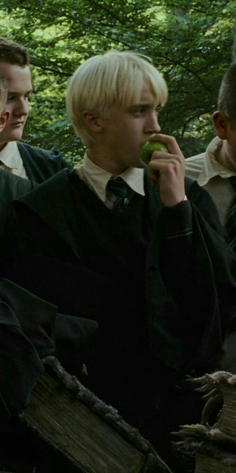 Slytherin Lockscreen, Slytherin Funny, Draco Malfoy Hot, Draco Malfoy Imagines, Hogwarts Christmas, Harry Draco, Draco Malfoy Aesthetic, Lucius Malfoy, Tom Felton Draco Malfoy