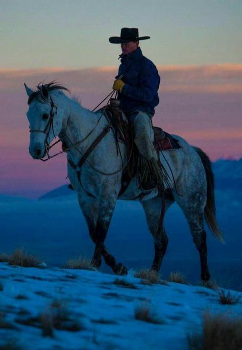 Cowboy Draw, Cowboy Photography, Cowboy Pictures, Western Artwork, Cowboy Aesthetic, Cowboy Theme, Cowboy Horse, Animal Study, Western Riding