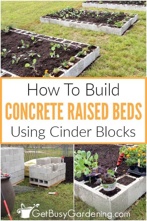 Planter Design Ideas, Cinder Block Garden Bed, Garden Beds Diy, Cinder Block Garden, Building Raised Garden Beds, Vegetable Garden Raised Beds, Beds Diy, Raised Bed Gardening, Building A Raised Garden