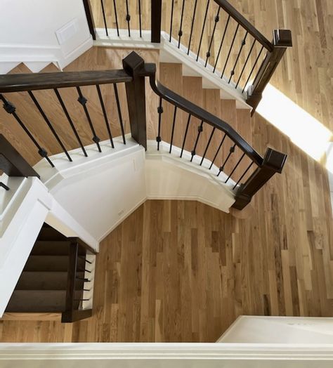 A fresh new look for this white oak floor. We were able to take it from the dark tones similar to the railings, to this natural, light oak. We have the experienced crews to update your hardwood floors. #ahf #areputationyoucanstandon #ethos #yegflooring #yycflooring #neutrals #homeimprovement #sandandrefinish #oldisnew #beforeandafter Railing Makeover, Dark Staircase, Stair Railing Makeover, Natural Oak Flooring, Light Oak Floors, House Staircase, Oak Stairs, Living Room Den, Light Wood Floors