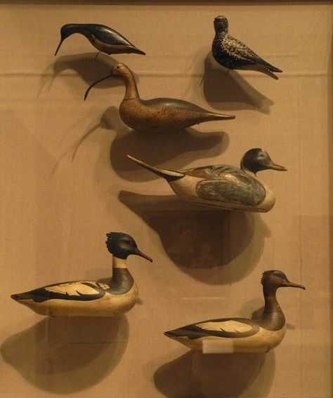 Decoys from the Collection of the American Folk Art Museum, 19th century. Duck Decoy Decor, Old Fishing Lures, Decoy Carving, Location Unknown, Wooden Duck, Girl In Red, Duck Decoys, Shorebirds, American Folk Art