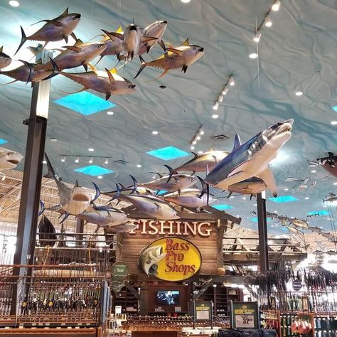 Indoor Archery Range, Las Vegas Shopping, Zoo Architecture, Marine Radios, Vintage Vegas, Bass Pro Shop, Las Vegas City, Fish Species, Casino Hotel