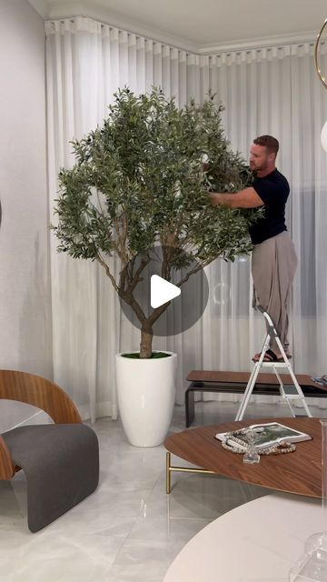 CFA Design Group on Instagram: "Ciao bello 🫒🌿✨ Elevate your space with our oversized faux olive trees from CFA Design Group! 🌿✨ These stunning trees are the perfect way to bring a touch of Mediterranean charm into your home or office. Each tree is meticulously crafted to look incredibly lifelike, adding a sense of natural beauty to any room. Whether you’re looking to enhance your living room, dining area, or outdoor patio, our faux olive trees are sure to make a statement. Upgrade your decor with these elegant and low-maintenance trees today! 🌿🏡 #FauxOliveTrees #MediterraneanChic #LifelikeBeauty #CFADesignGroup #ElegantDecor" Olive Tree Living Room Decor, Olive Tree In Living Room, Faux Olive Trees, Olive Trees Garden, Patio Trees, Faux Olive Tree, Faux Tree, Olive Trees, Olive Tree