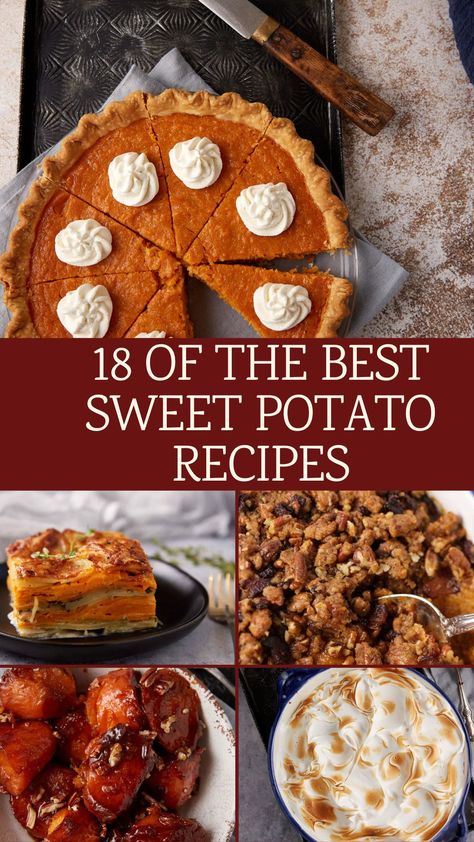 A collage of sweet potato recipes. Dinner Recipes With Sweet Potatoes, Sweet Potato Recipes For Thanksgiving, Sweet Potato Ideas, Potato Recipes For Thanksgiving, Recipes With Sweet Potatoes, Baked Sweet Potato Recipes, Good Sweet Potato Recipe, Potato Ideas, Canned Yams