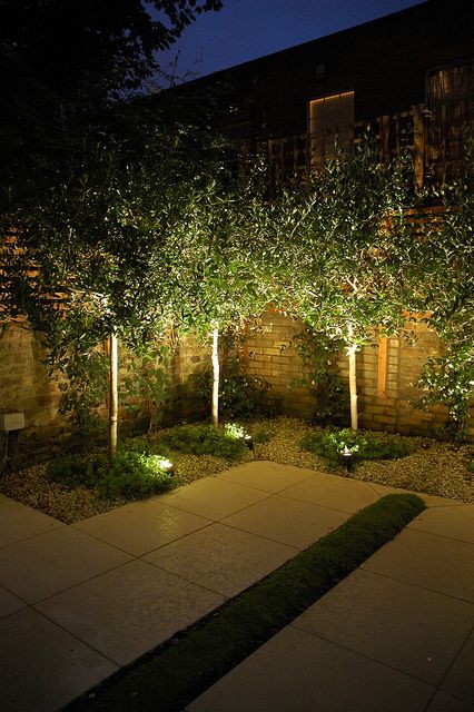 Contemporary architectural garden 7 copyright Light IQ Cha… | Flickr Lights On Trees, Garden At Night, Solar Landscape Lighting, Landscape Lighting Design, Outdoor Garden Lighting, Outdoor Landscape Lighting, Backyard Lighting, Outdoor Gardens Design, Diy Landscaping