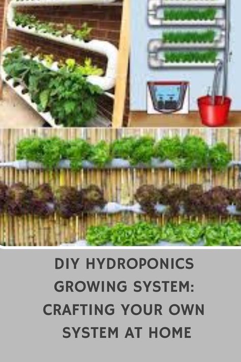 Discover how to create your own DIY hydroponics growing system at home with this easy-to-follow guide. Grow your favorite plants indoors without soil using simple materials and techniques. Enhance your gardening skills and enjoy fresh produce year-round right in the comfort of your own home. Start your hydroponic journey today! Small Indoor Hydroponics System Diy, Diy Hydroponics System, Homemade Hydroponics, Plants Without Soil, Hydroponics Setup, Hydroponic Gardening Diy, Hydroponic Herb Garden, Indoor Hydroponic Gardening, Diy Hydroponics