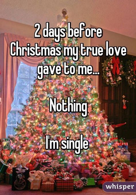 Holidays Quotes, Single Pringle, Girl Singing, Single Memes, I'm Single, Single Mom Life, My True Love, Christmas Memes, Single Humor