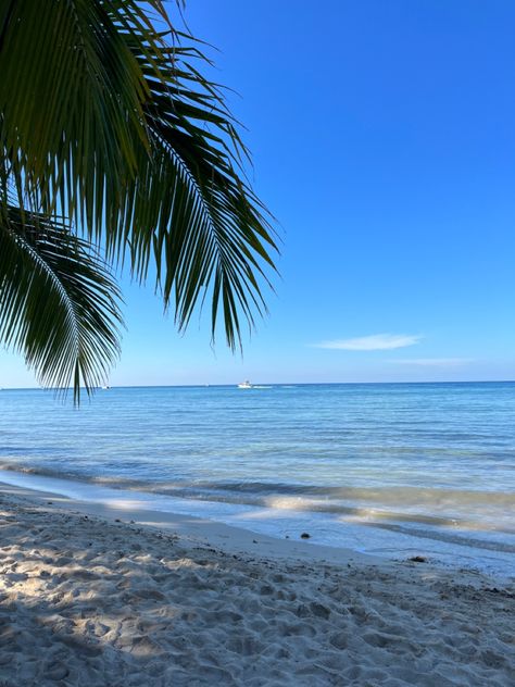 Beach aesthetic, summer aesthetic, summer inspo, mexico, palm trees Mexico Summer Aesthetic, Tuscany Aesthetic, Palm Trees Aesthetic, Palm Tree Aesthetic, 80’s Aesthetic, Palm Tree Island, 2024 Moodboard, Palm Island, Tulum Beach