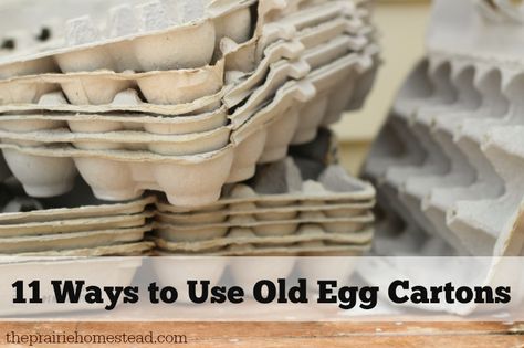 11 Creative and Amazing ways to use egg cartons. #pioneersettler Shaving Cream Easter Eggs, Prepper Ideas, The Prairie Homestead, Fire Starters Diy, Prairie Homestead, Gathering Ideas, Survival Ideas, Homesteading Diy, Better Lifestyle