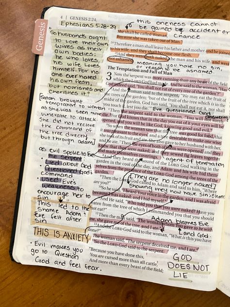 Genesis 2:24, Genesis Bible Journaling Notes Chapter 1, Genesis 2 Bible Journaling, Genesis 3 Bible Journaling, Genesis Bible Journaling Notes, Genesis Journaling, Genesis Bible Study, Bible Highlighting, Bible Studying