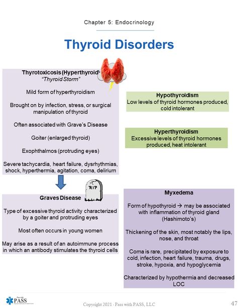Endocrine Nursing Cheat Sheets, Emt Study Guide, Paramedic Student Studying, Paramedic Science Notes, Nremt Emt Study Guide, Nremt Paramedic Test Prep, Advanced Emt Study, Paramedic Study Notes, Emt Study Cheat Sheets