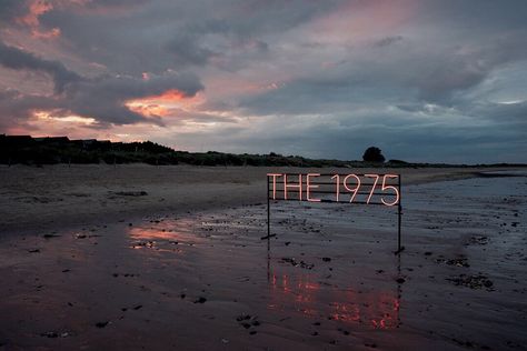 The 1975 Wallpaper, Macbook Pro Wallpaper, Mac Backgrounds, Macbook Air Wallpaper, You Are So Beautiful, Wolf Alice, Vintage Flowers Wallpaper, Book Background, Twitter Header Photos