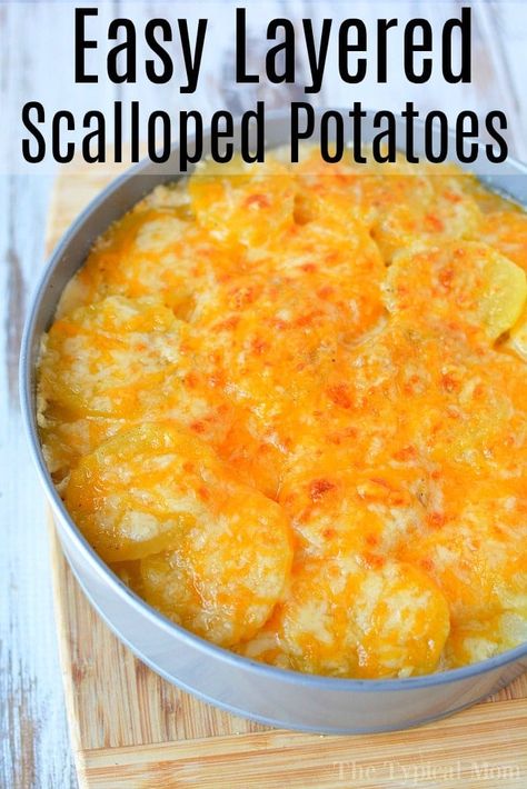 Here is an easy Instant Pot scalloped potatoes recipe you can use as the perfect cheesy side dish for the holidays or year round with dinner. #instantpot #pressurecooker #scalloped #potatoes #cheese #augratin #sidedish #potato Ip Potatoes, Instant Pot Scalloped Potatoes, Multicooker Recipes, Instant Pot Veggies, Scallop Potatoes, Potato Rounds, Scalloped Potato, Scalloped Potatoes Recipe, Chicken Crockpot Recipes Healthy