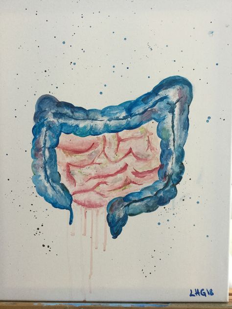 Medical art , intestine, acrylic painting Intestines Painting, Medical Art, Tattoo Inspo, Tattoos And Piercings, Japanese Art, Santa Fe, Watercolor Tattoo, Character Inspiration, Piercings