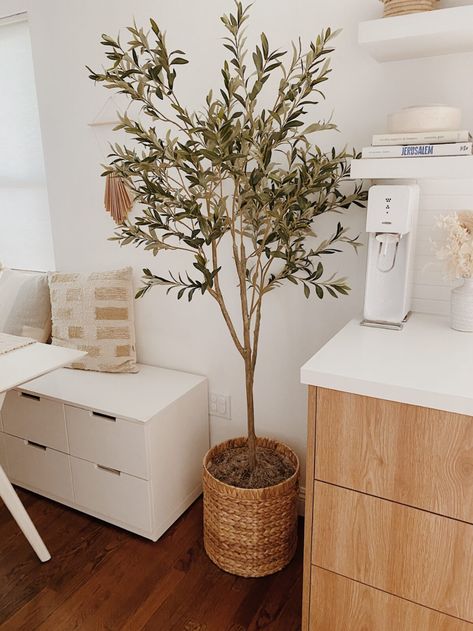 how to make a faux olive tree look better - almost makes perfect Artificial Indoor Trees, Tree Bedroom, Olive Plant, Inside A House, Faux Olive Tree, Fake Trees, Tree Nursery, Faux Tree, House Plants Decor