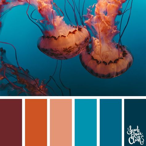 Ocean life color inspiration // Take a dive under the sea with these color combinations inspired by ocean life and Living Coral - PANTONE’s 2019 Color of the Year. Click to see all 25 color palettes for underwater color inspiration for art projects, coloring or paint pouring at www.sarahrenaeclark.com #colorscheme #colorinspiration #colorideas Ocean Color Palette, Coral Pantone, Color Catalog, Color Schemes Colour Palettes, Life Color, Sea Colour, Living Coral, Ocean Colors, Underwater Life