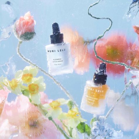 Muri Lelu (@murilelu) • Instagram photos and videos Doan Ly, Flower Skincare, Luxury Skincare Products, Product Visualization, Bedtime Ritual, Mood Images, Object Photography, Graph Design, Plant Science