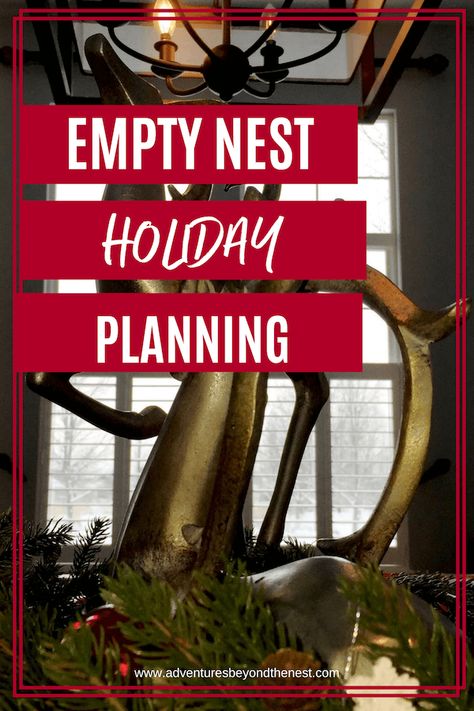 Thanksgiving and Christmas are times when families usually come together to celebrate. But what about the times when the kids don't come home for the holidays? Empty nesters can make the holidays special by trying some of these ideas! Christmas Traditions For Empty Nesters, Lonely Christmas, Empty Nest Mom, Christ Centered Christmas, Christmas Prep, Empty Nesters, Christmas Traditions Family, Christmas Preparation, Thanksgiving And Christmas