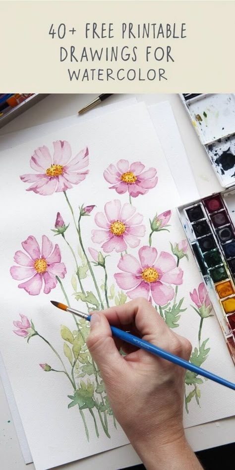 Hand painting pink cosmos flowers with a watercolor palette and brush. Outlining Watercolors, Watercolor Pages Free Printable, Watercolor Outlines Printable, Watercolor Templates Printables Free, Drawings For Watercolor, Traceable Drawings To Paint, Watercolour Templates, Watercolor Templates Printables, Watercolor Worksheet