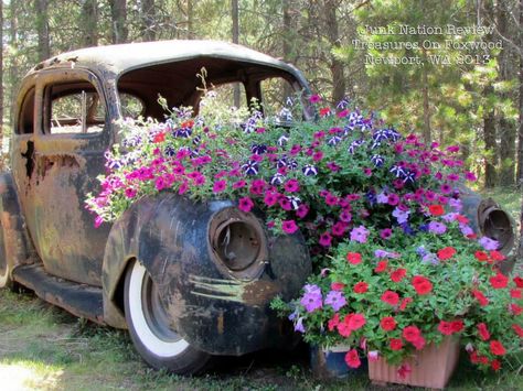 Old car - new flowers Truck With Flowers, Car Garden, Flower Truck, Pick Up Truck, Old Truck, Garden Junk, Fleur Design, Farm Trucks, Truck Art