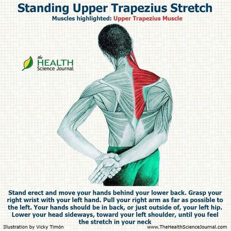 Standing upper trapezius stretch Trapezius Stretch, Better Body, Sports Massage, Science Journal, Yoga Therapy, Health Knowledge, Hip Flexor, Yoga Stretches, Body Love