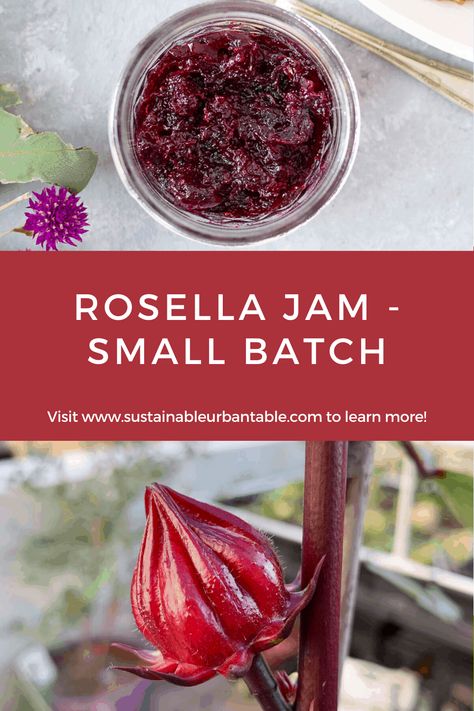 Rosella jam is known and loved by many Australians. It's deliciously sweet and tart, and makes a perfect spread for fresh-baked bread or sourdough pancakes. Roselle Jam Recipe, Rosella Jam Recipes, Roselle Hibiscus Recipes, Rosella Recipes, Roselle Recipes, Homemade Pectin, Rosella Jam, Hibiscus Jam, Roselle Jam