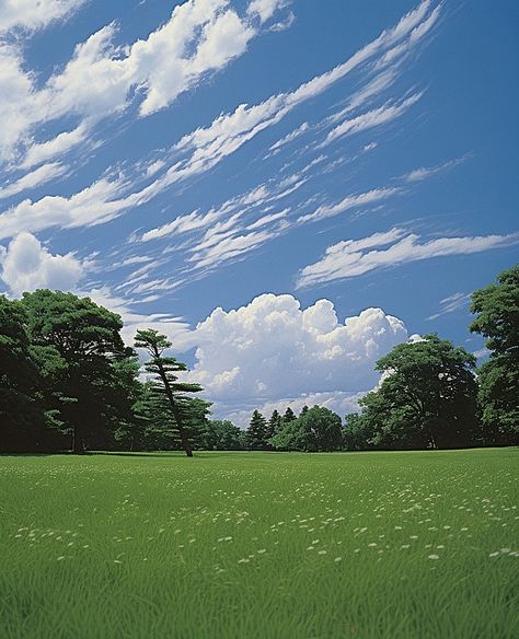 the clouds and clouds of a grassy field Background Field Background, Cloud Tree, Grass Background, Grassy Field, Ad Background, Wallpaper Photos, Wallpaper Image, Tree Wallpaper, Beautiful Landscape Wallpaper