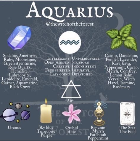 Aquarius Magic, Witch Routine, Uranus Astrology, Zodiac Products, Zodiac Aesthetic, The Water Bearer, Aquarius Moon, Aquarius Aesthetic, Aquarius Art