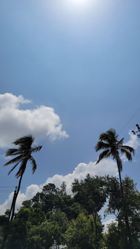 Trees Aesthetic, Streak Ideas, Sky Photography Nature, Background Images Hd, Aesthetic Photography Nature, Instagram Photo Inspiration, Sky Clouds, Photography Nature, Sky Aesthetic