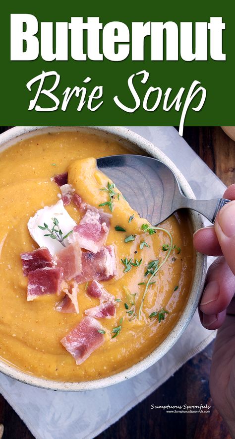 Brie And Butternut Squash Soup, Butternut Squash And Brie Soup, Brie Soup, Beer Soup, Butternut Soup, Rosemary Sage, Brie Recipes, Holiday Recipes Christmas, Brie Cheese