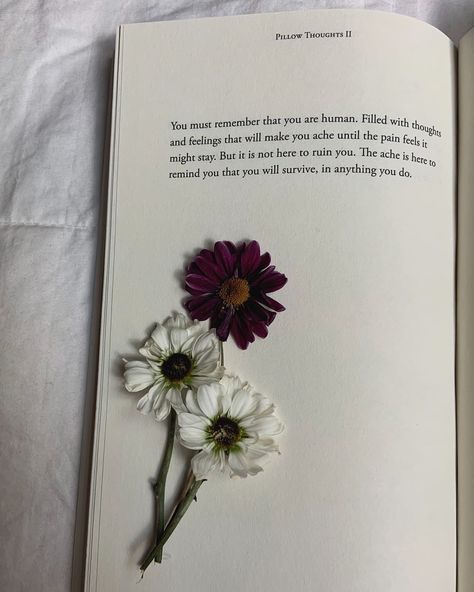 Pillow Thoughts Book, Pillow Thoughts Ii, Courtney Peppernell, Pillow Thoughts, Calm Quotes, Life Words, Poetry Words, Thoughts And Feelings, Quote Aesthetic