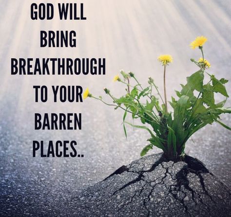 Breakthrough Quotes, Breakthrough Is Coming, I Believe God, Family Scripture Study, Open Word, Believe God, God Speaks, Hustle Quotes, Healing Scriptures