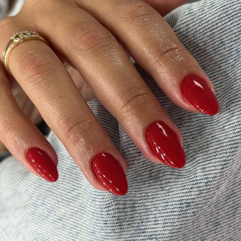 Red nails Red Nails Polish, Thick Acrylic Nails, Cute Summer Nails Coffin, Wide Nail Beds, Nails One Color, Round Fake Nails, Nails Short Oval, Red Press On Nails, Nails Press Ons