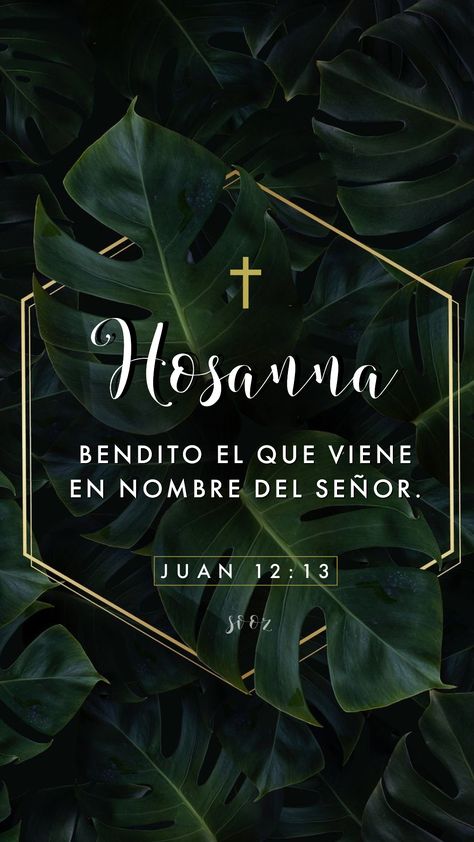 Art Psychology, Simple Iphone Wallpaper, Palm Sunday, Catholic Prayers, Jesus Is Lord, Flower Phone Wallpaper, Jesus Loves Me, Quotes About God, Bible Scriptures