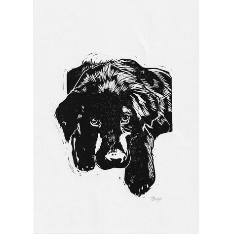 Labrador puppy //Original Linocut print, pet portrait handprinted in quality materials by PoppyBcreative on Etsy Image Composition, Cardboard Shipping Boxes, Lino Art, Wood Block Printing, Labrador Puppy, Gift Art, Lino Print, Linocut Prints, Dog Pet