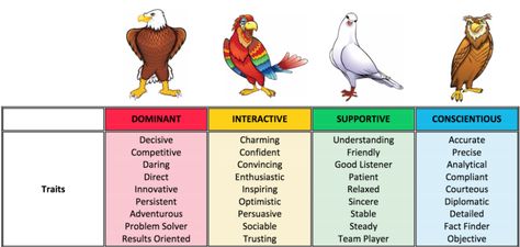 The True Story Behind the DISC Model: How a Negative Assessment Morphed into a Tool for Collaboration - ELM Disc Personality Test, Disc Personality, Disc Assessment, Team Dynamics, Personality Test, Assessment, Birds