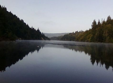 The case for visiting Loch Lomond in Santa Cruz Mountains, one of the prettiest parks in the region Ben Lomond, Santa Cruz Beach, Santa Cruz Mountains, Boulder Creek, Mountains Hiking, Visit Santa, Loch Lomond, Lake Fishing, San Lorenzo